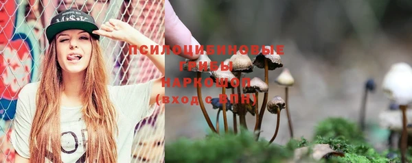 винт Лагань