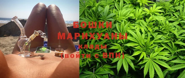 винт Лагань